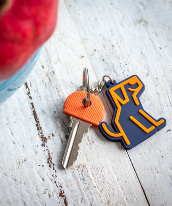 Leash Link key rings with key