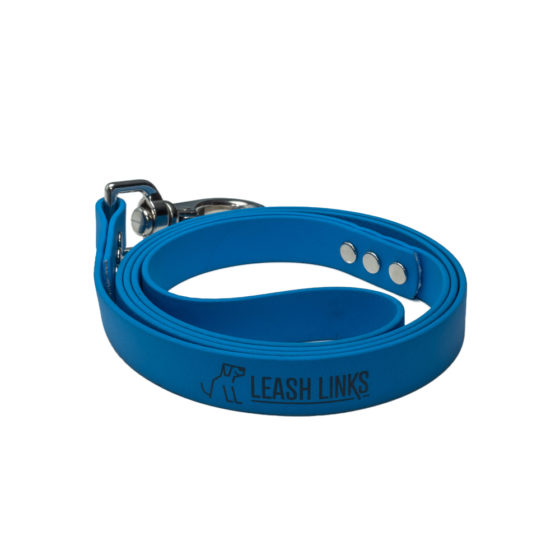 Leash Link blue leash