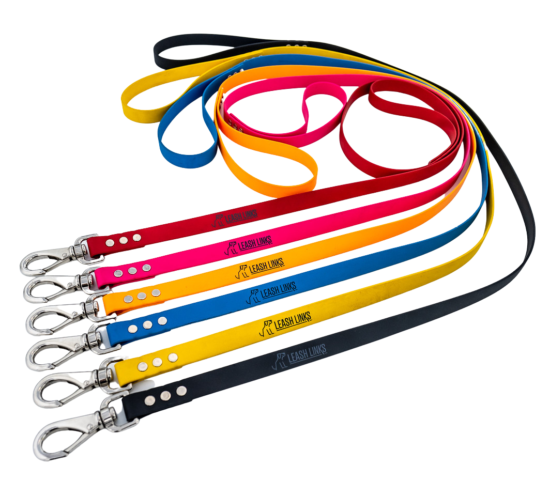 Leash Link long leash color assortment