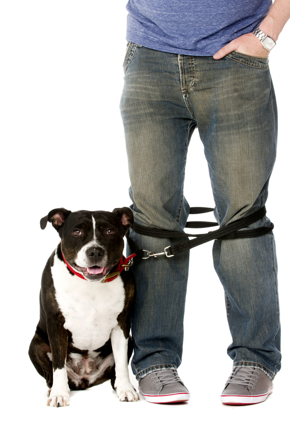 Short is the Way To Go! Keep your dog on a short leash!